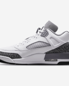 Jordan Spizike Low